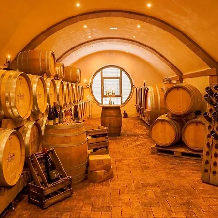 Main-vinotel Weingut Helmstetter