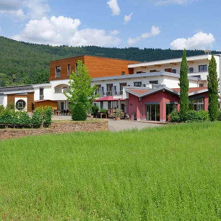 Hotel Main-vinotel Weingut Helmstetter