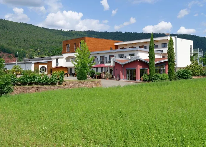 Hotel Main-vinotel Weingut Helmstetter